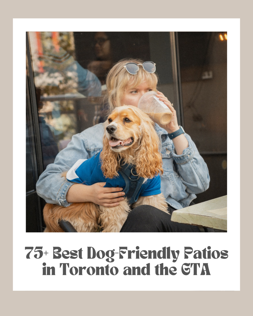 75+ Best Dog-Friendly Patios in Toronto and the GTA