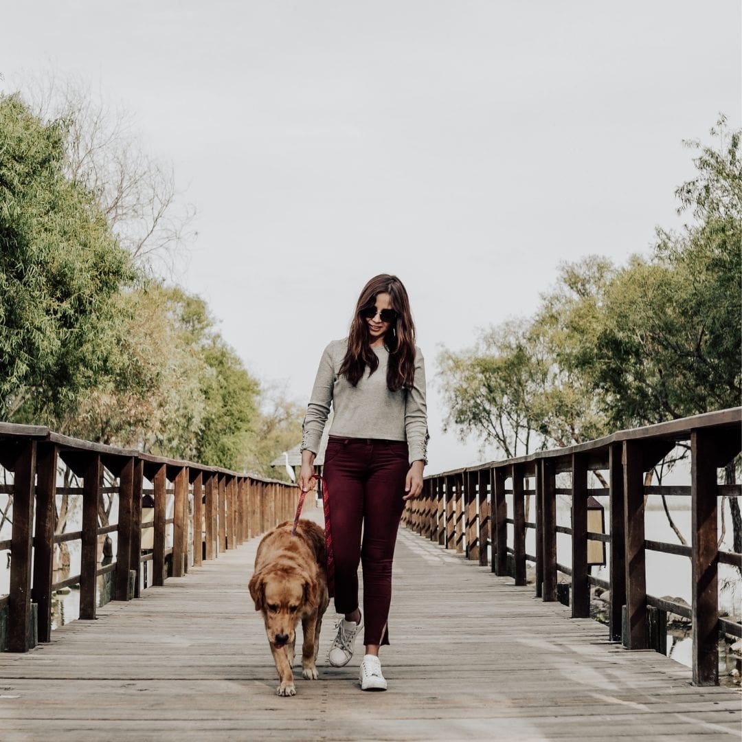 5 Questions To Ask Your Dog Walker