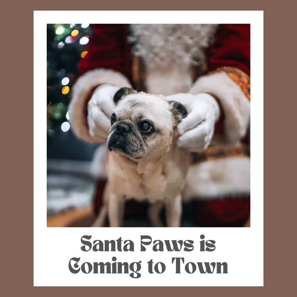 Santa Paws is Coming to Town
