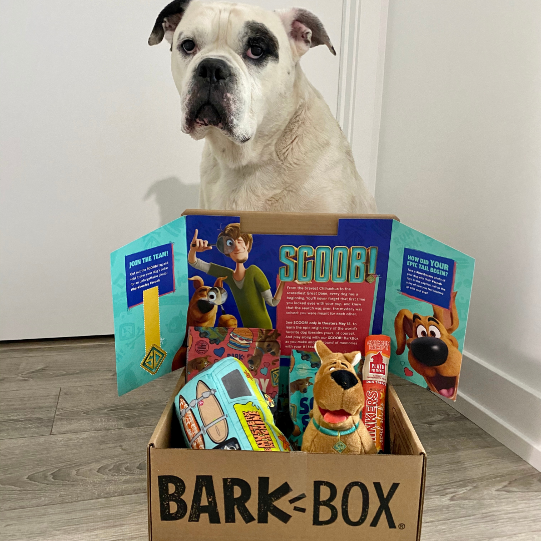 BarkBox is back in Canada!