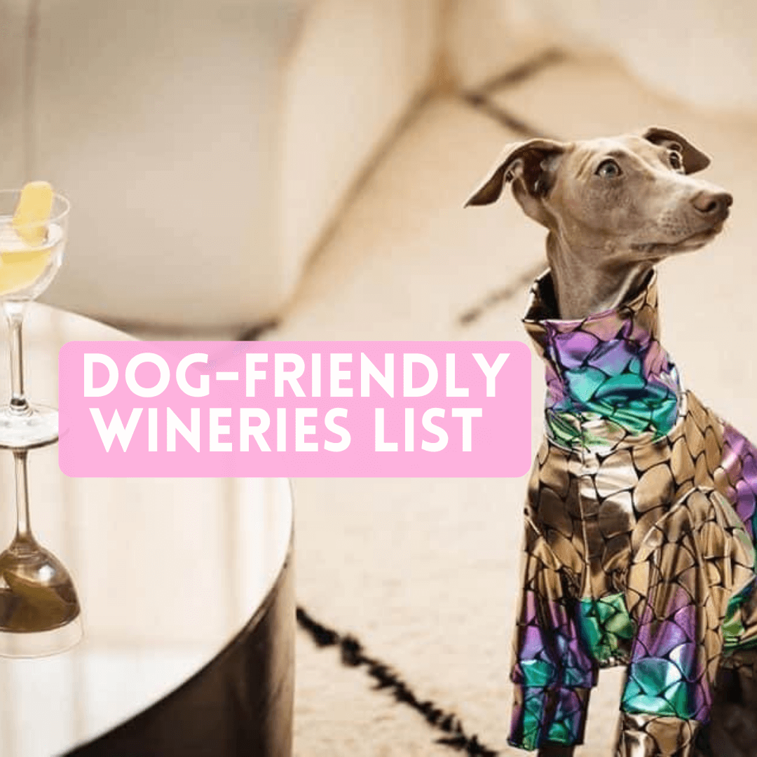 Dog Friendly Winery List