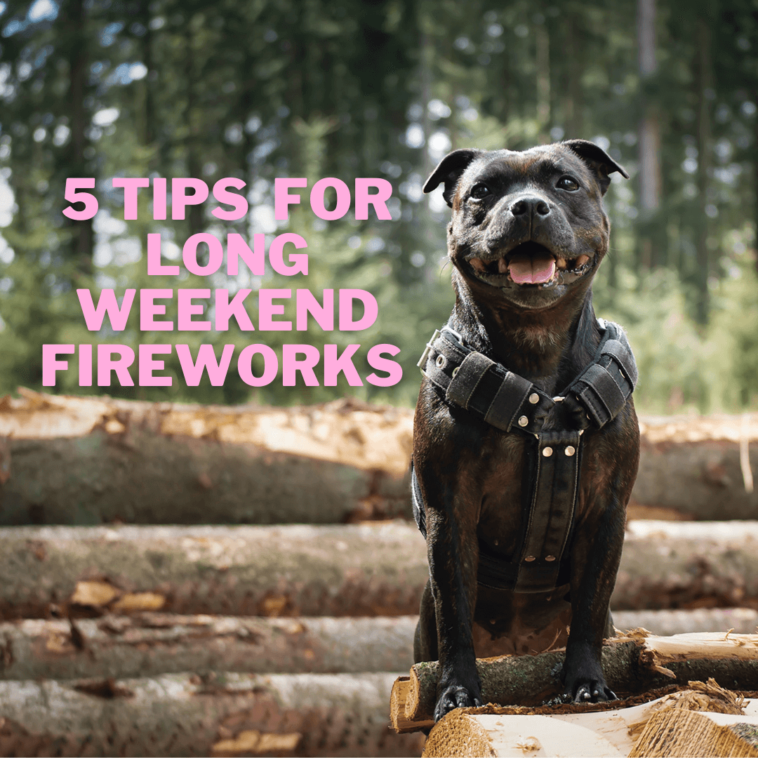 5 Tips For Long Weekend Fireworks