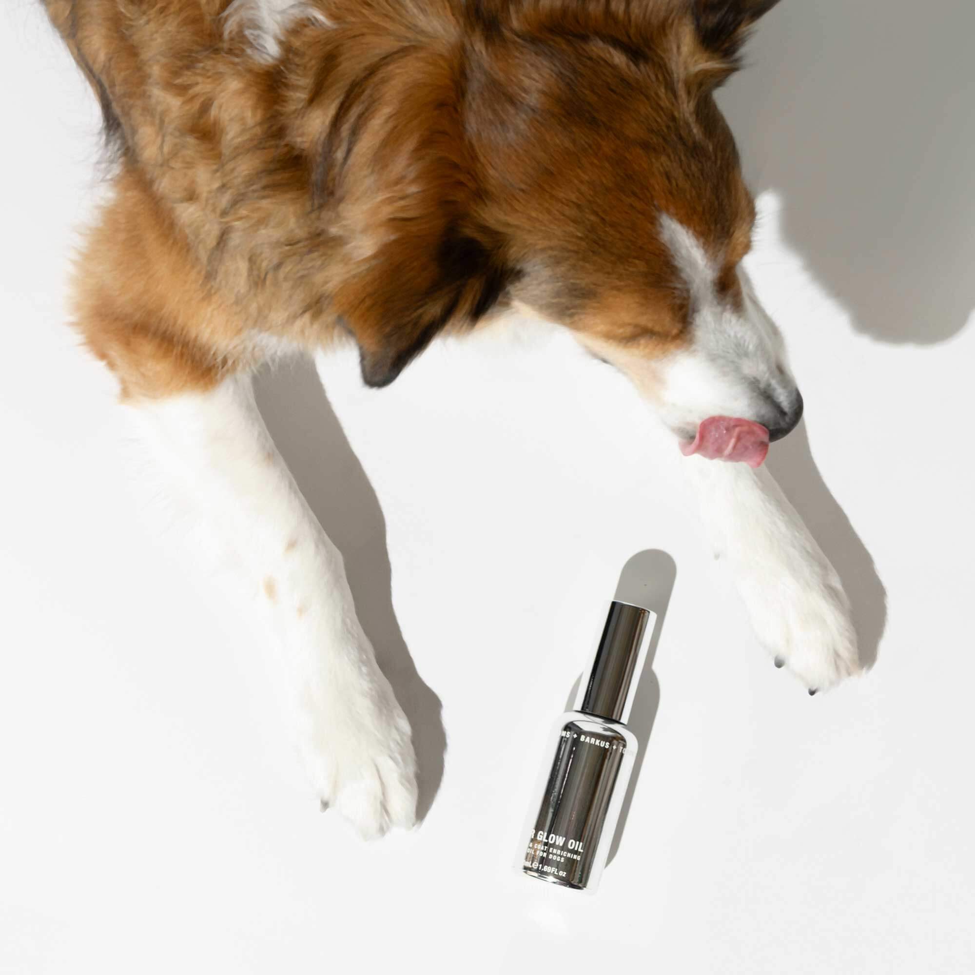 FUR GLOW OIL