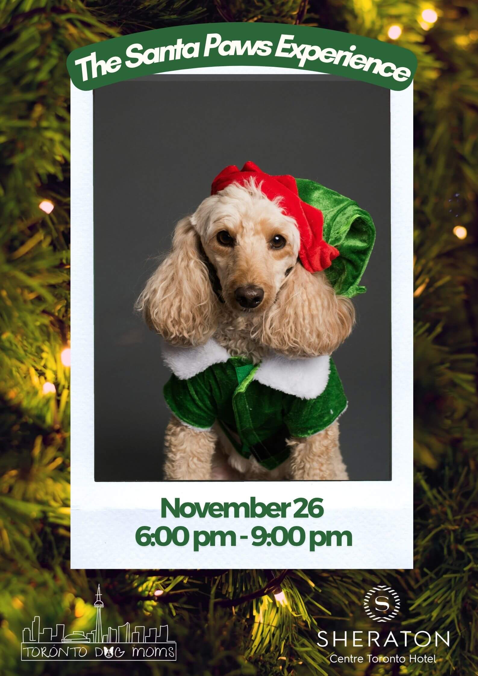 Santa Paws Photo Experience - November 26, 2024