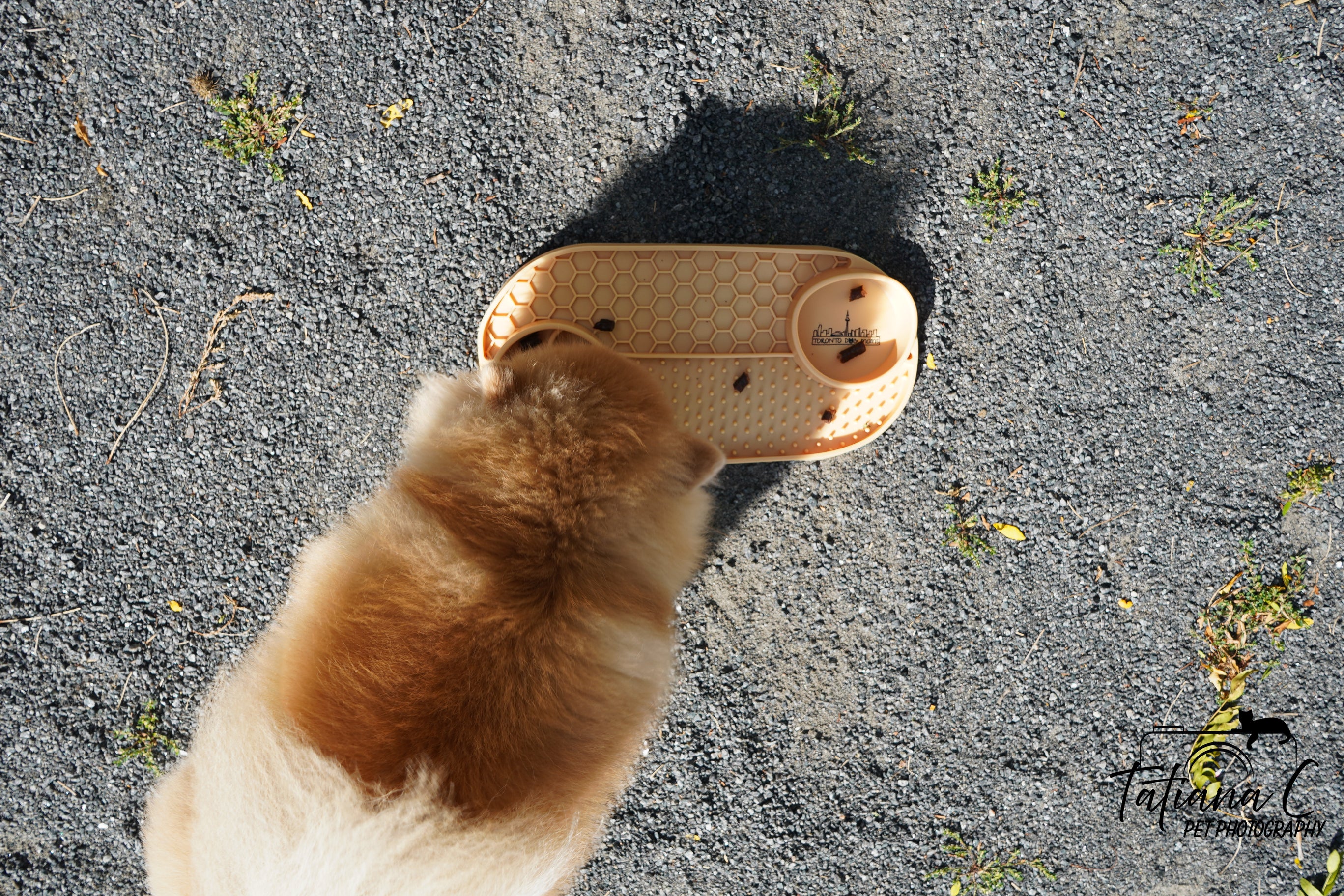 Enrichment Mat & Bowl - Mustard