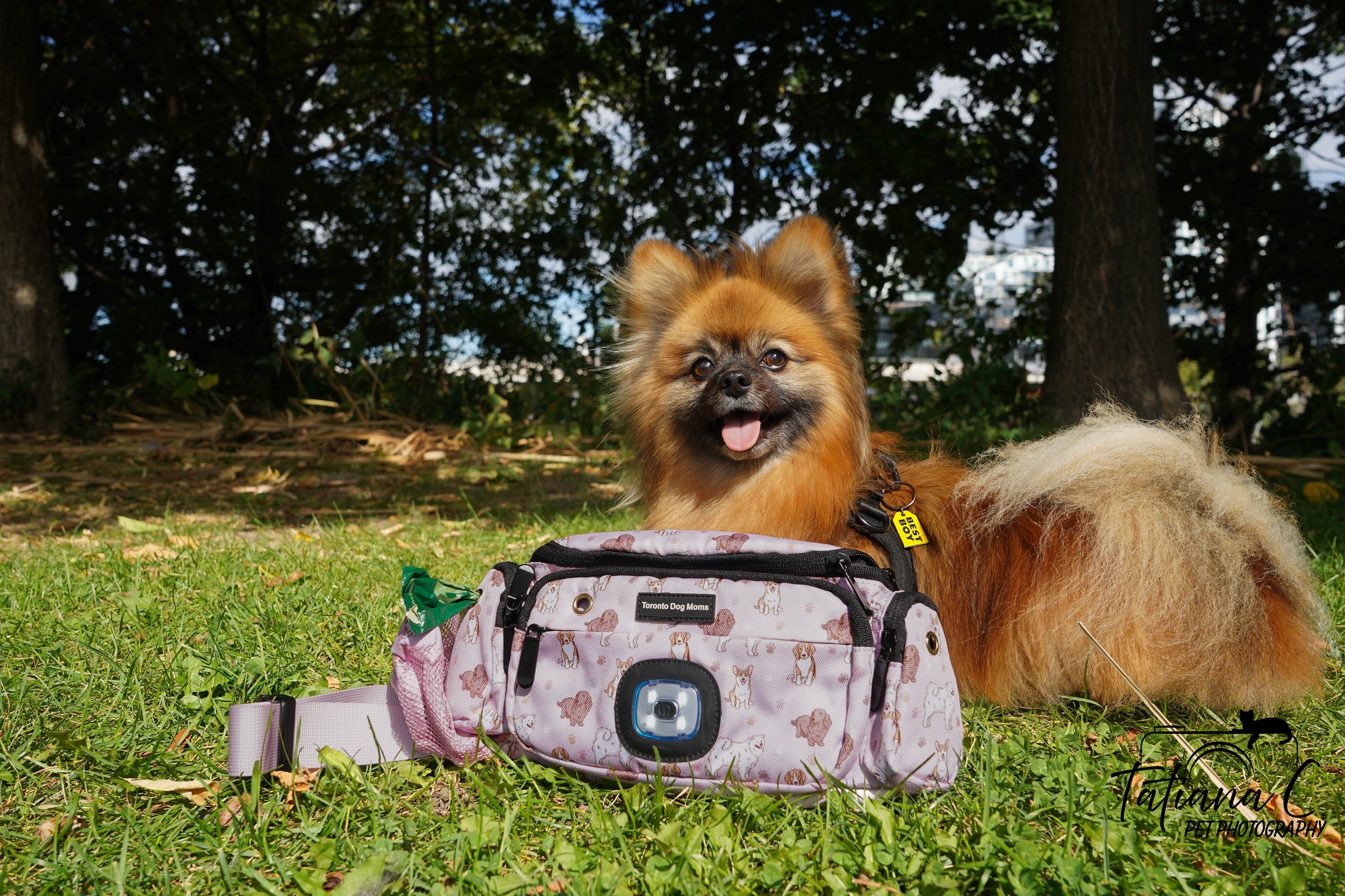The Excursion Fanny Pack - Patterned Blush Pink - Toronto Dog Moms