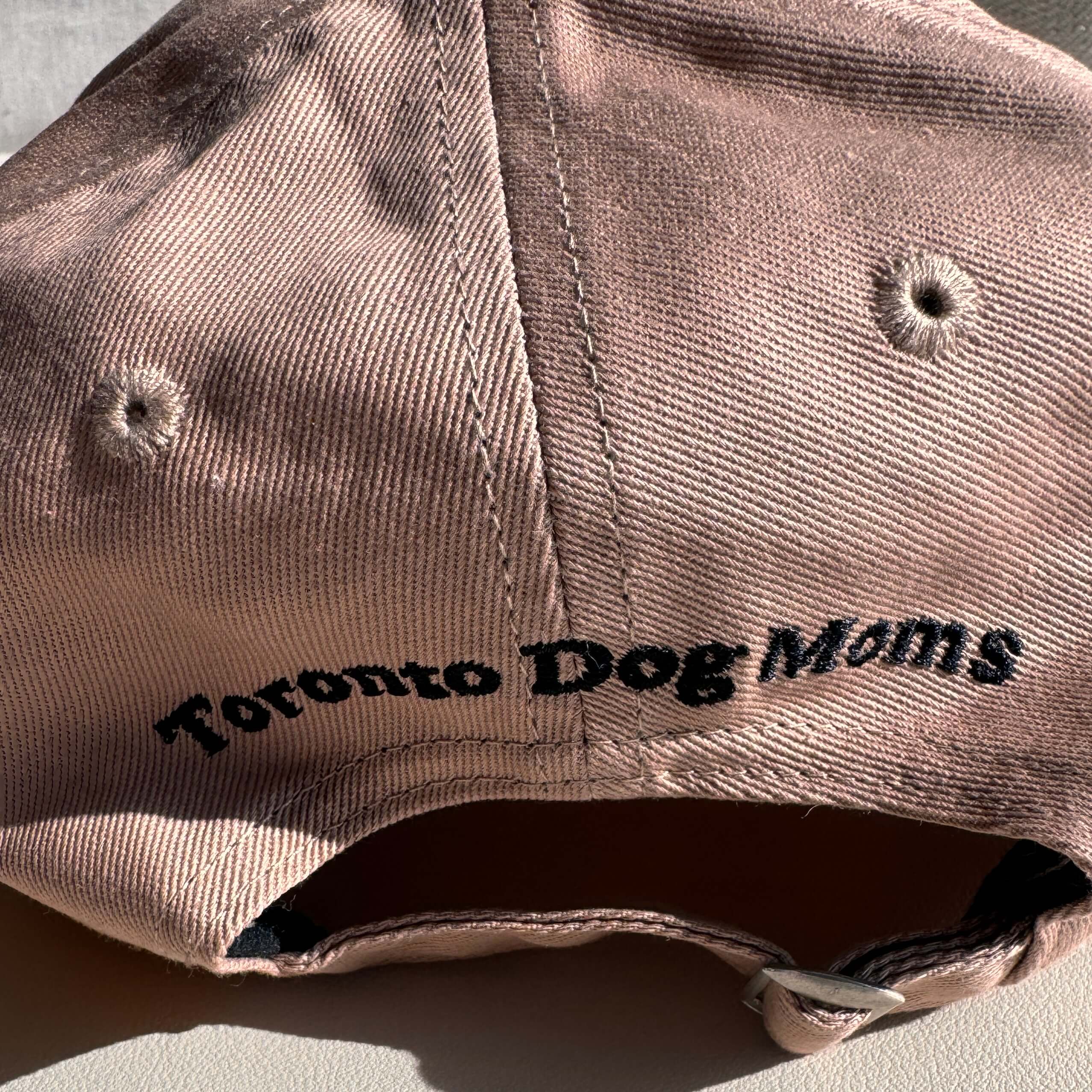 Dad Hat - Dogs, Iced Coffee & Mental Health