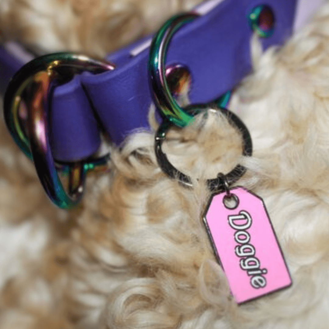 Custom pet id online