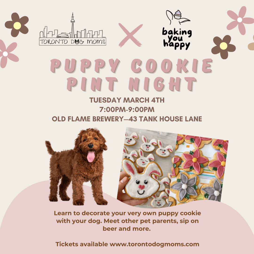 Puppy Cookie Pint Night