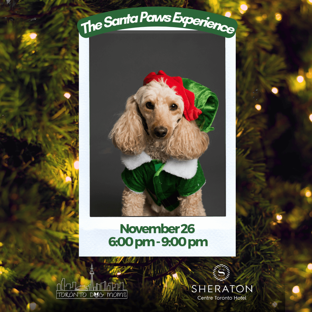 Santa Paws Photo Experience - November 26, 2024