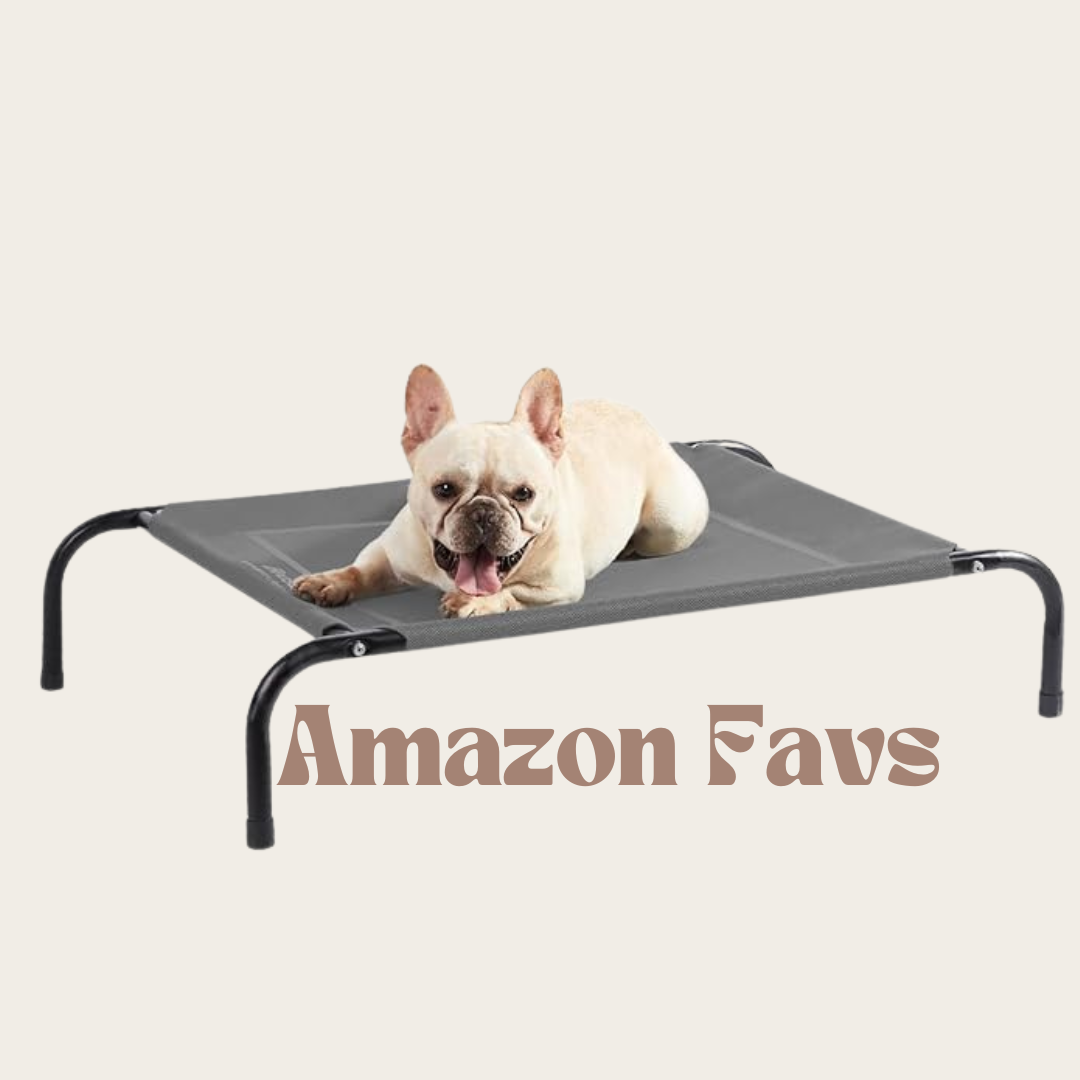 All our Amazon Favs