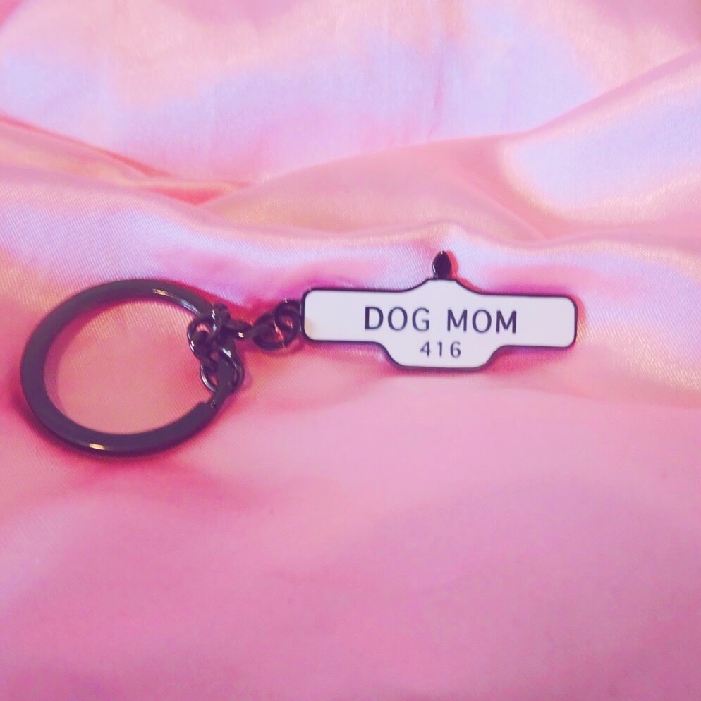 Toronto Dog Mom Street Sign Keychain
